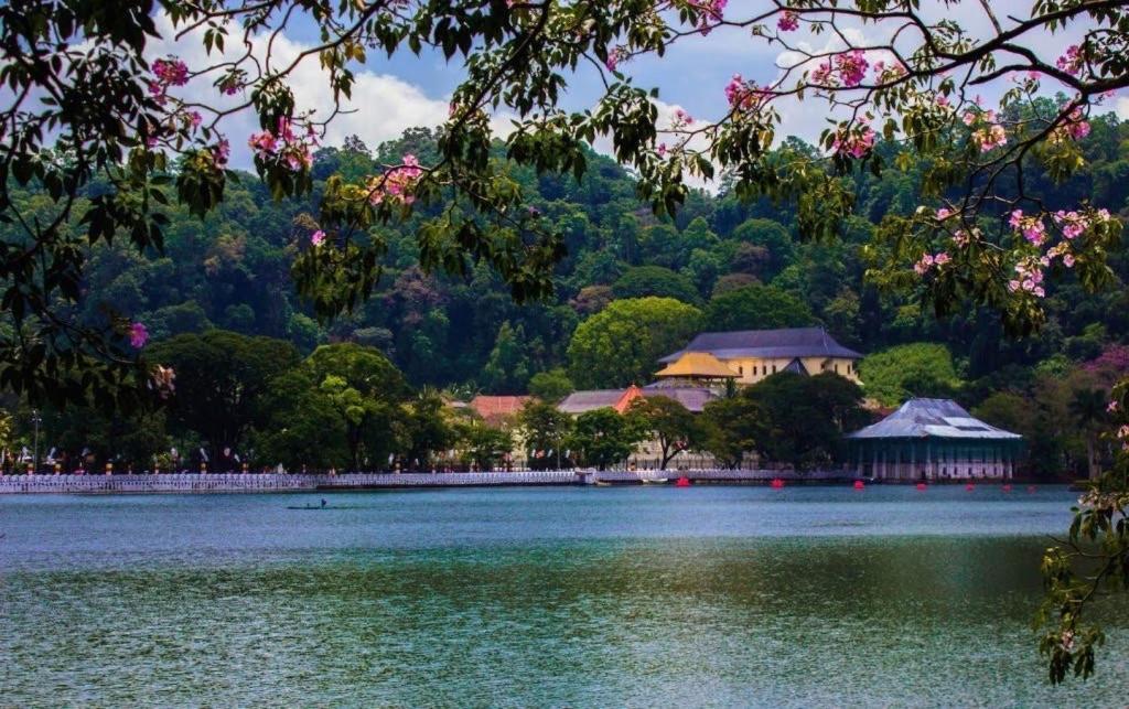 Nisansala Homestay Kandy Deiyannewela Exteriér fotografie